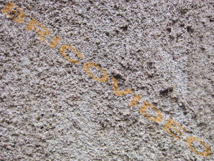 mur crepis