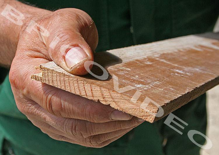 couper bois scie japonaise
