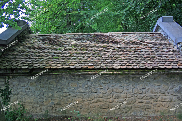 forum renovation toiture